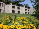 Lincoya Bay Apartments for Rent, Nashville TN